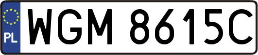 WGM8615C