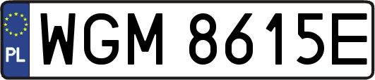 WGM8615E
