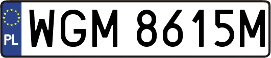 WGM8615M