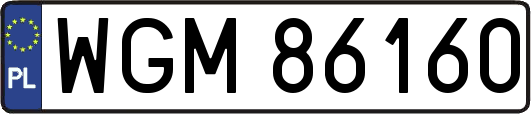 WGM86160