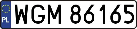 WGM86165