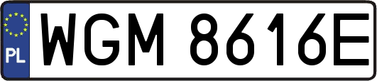 WGM8616E