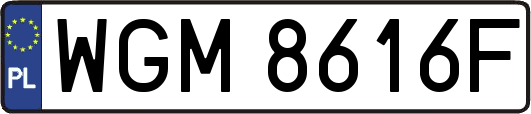 WGM8616F