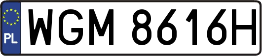 WGM8616H