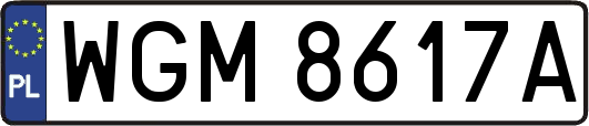 WGM8617A