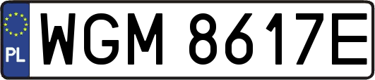 WGM8617E