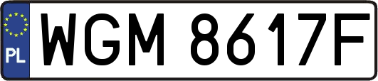 WGM8617F