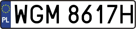 WGM8617H