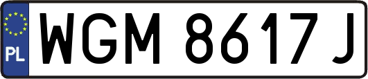 WGM8617J