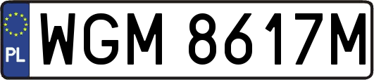 WGM8617M
