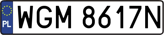 WGM8617N