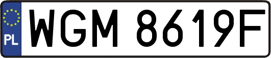 WGM8619F