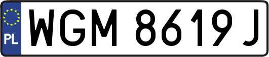 WGM8619J