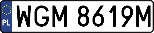 WGM8619M