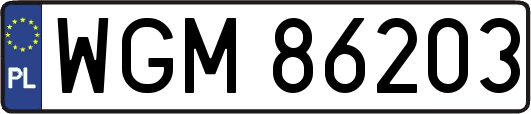WGM86203