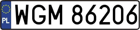 WGM86206