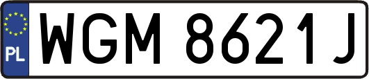 WGM8621J