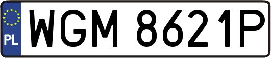 WGM8621P
