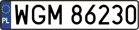 WGM86230