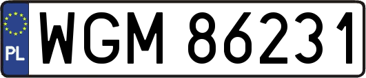 WGM86231