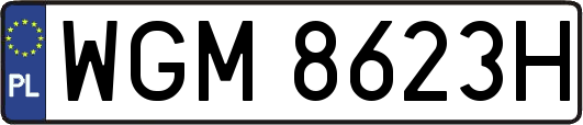 WGM8623H