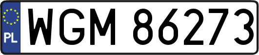 WGM86273