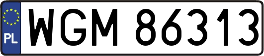 WGM86313