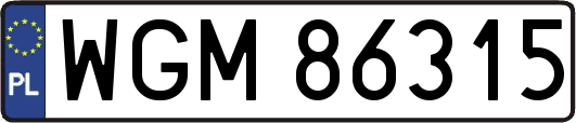 WGM86315