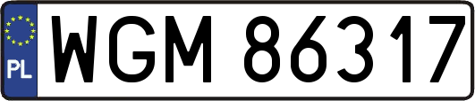 WGM86317