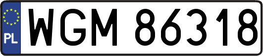 WGM86318