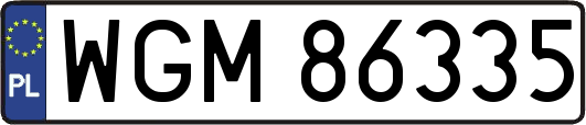 WGM86335