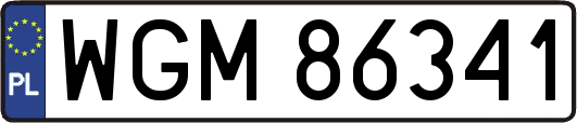 WGM86341