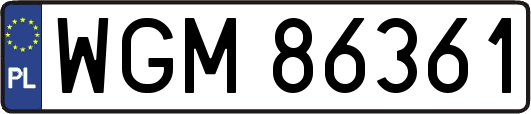 WGM86361