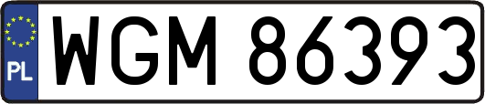 WGM86393