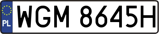 WGM8645H