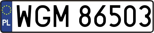 WGM86503