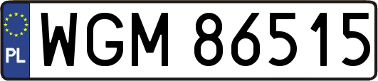 WGM86515