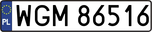 WGM86516