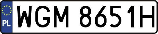 WGM8651H