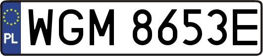 WGM8653E