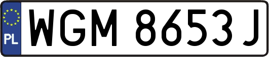 WGM8653J