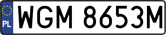 WGM8653M