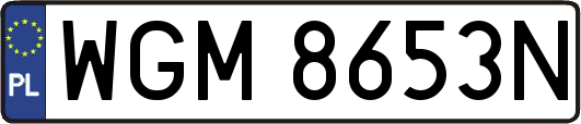 WGM8653N