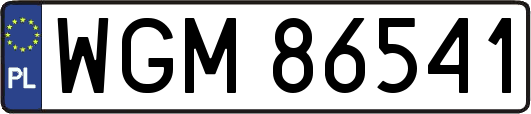 WGM86541