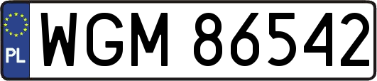 WGM86542