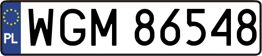 WGM86548