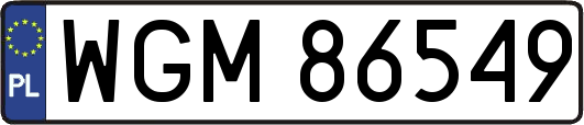 WGM86549