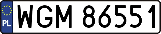 WGM86551