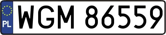 WGM86559