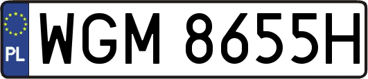WGM8655H